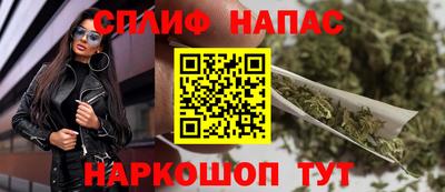 mdpv Краснознаменск