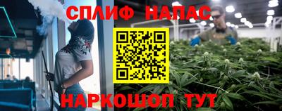 mdpv Краснознаменск