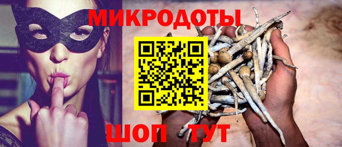Галлюциногенные грибы Magic Shrooms  Вход с VPN  Каменка 