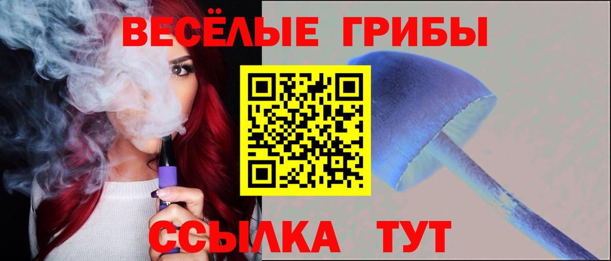 Галлюциногенные грибы мухоморы Каменка